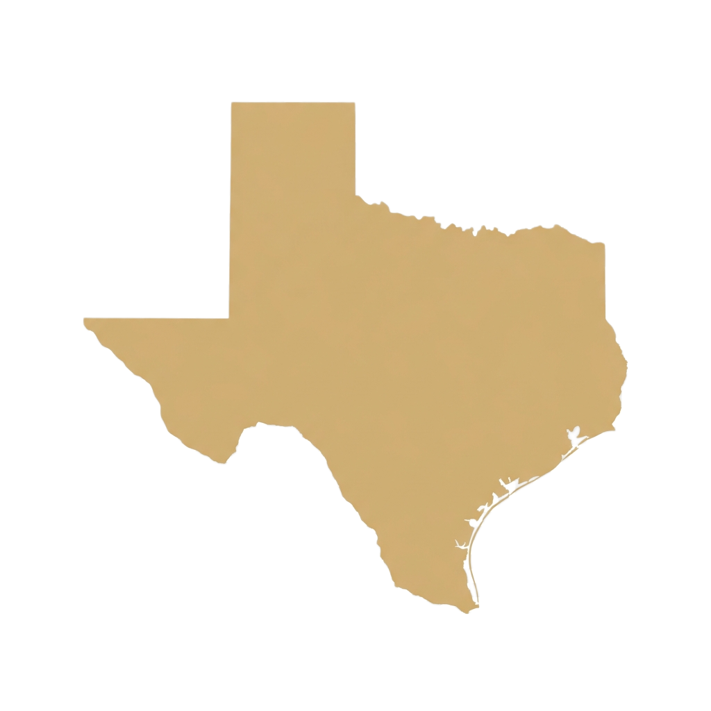 Texas Icon